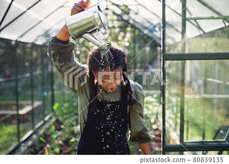 Happy small girl gardening in greenhouse outdoors in backyard, having fun. 80839135