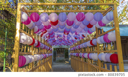Arahito Shrine Fukuoka Prefecture Lantern Love Bonbori Arahito Shrine Fukuoka Prefecture Lantern Love Bonbori 80839705