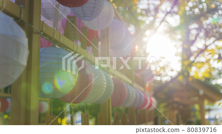 阿拉仁神社福岡縣燈籠愛盆堀 80839716