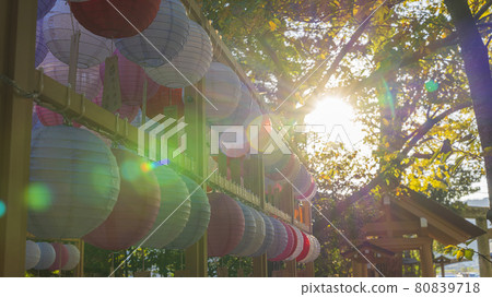 阿拉仁神社福岡縣燈籠愛盆堀 80839718
