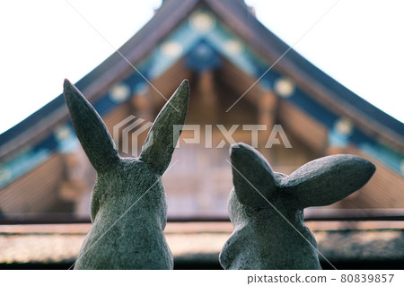 Inaba's white rabbit staring at the main shrine of Izumo Taisha Inaba's white rabbit staring at the main shrine of Izumo Taisha 80839857