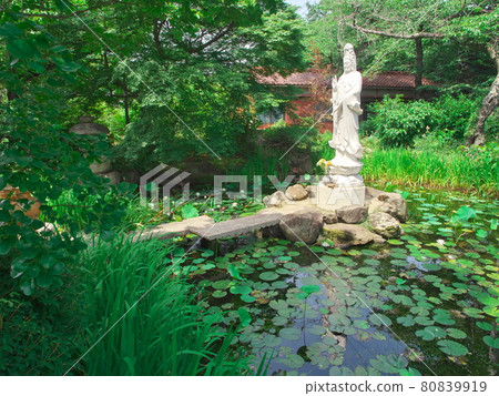 名古屋市天庫區相生山德林寺觀音像 名古屋市天庫區相生山德林寺觀音像 80839919