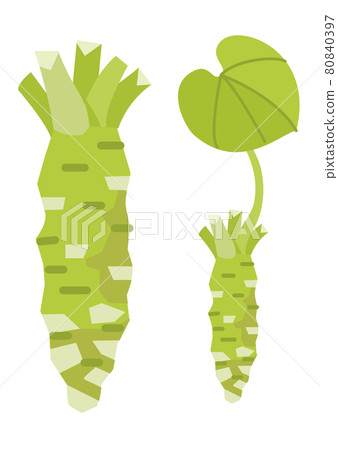 芥末（無輪廓） 80840397