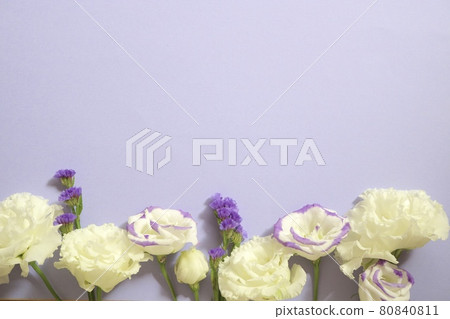 軟的紫色花洋桔梗框架 軟的紫色花洋桔梗框架 80840811