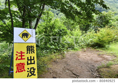 山路和熊出沒警告標誌 山路和熊出沒警告標誌 80840925