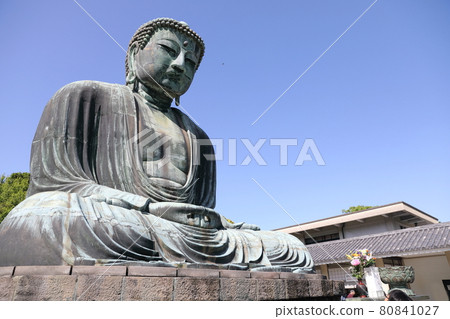 The Kamakura Daibutsu ( Great Buddha of Kamakura ) located on the grounds of the Kotokuin temple in Kamakura City 80841027