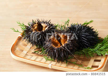 Purple sea urchin served in a colander 80841515