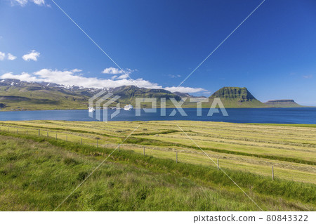 View over Grundarfjordur bay with Kirkjufell mountain on Iceland in summer during daytime View over Grundarfjordur bay with Kirkjufell mountain on Iceland in summer during daytime 80843322