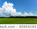 Summer clouds and green rice fields in the blue sky 80844284
