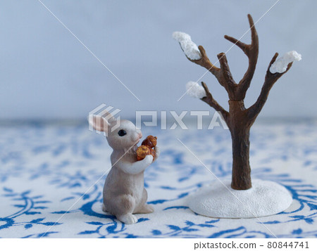 Rabbit miniature picking up acorns in the winter mountains Rabbit miniature picking up acorns in the winter mountains 80844741
