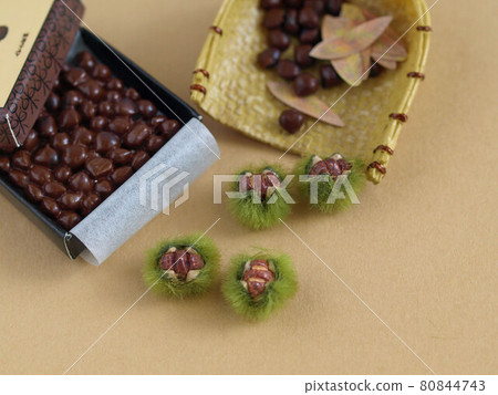 Chestnut miniature Chestnut miniature 80844743