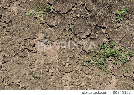 Dry ground 80845392