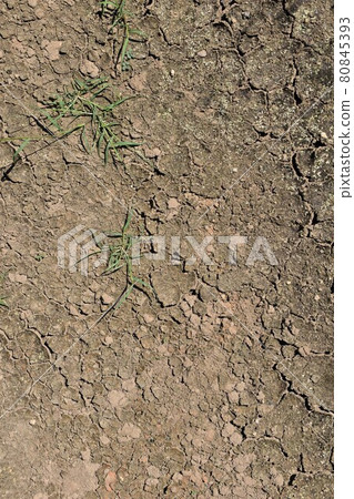 Dry ground Dry ground 80845393