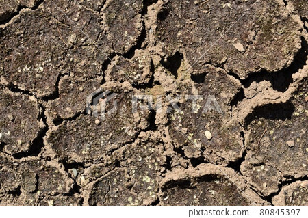 Drying ground Drying ground 80845397