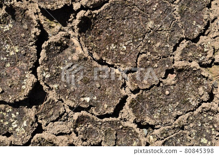 Drying ground 80845398