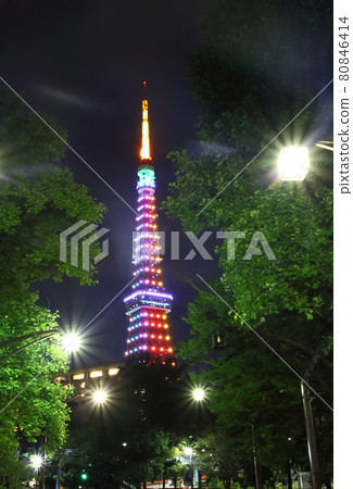 燈火通明的東京塔 80846414