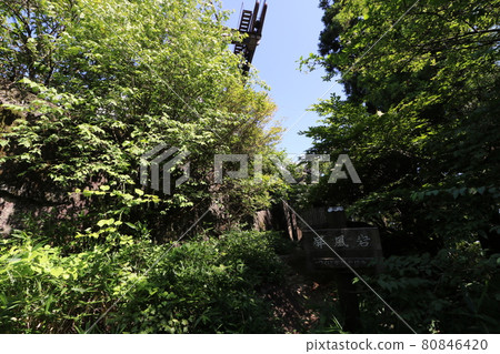 茨城縣筑波山白雲橋路線的登山路線 茨城縣筑波山白雲橋路線的登山路線 80846420