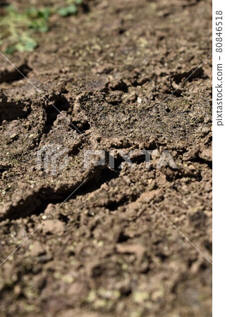 Cracked ground Cracked ground 80846518