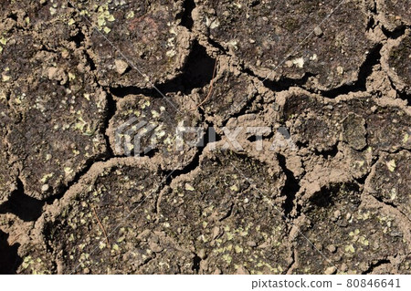 Cracked ground Cracked ground 80846641