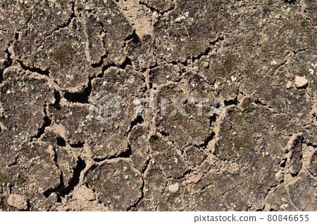 Cracked earth Cracked earth 80846655
