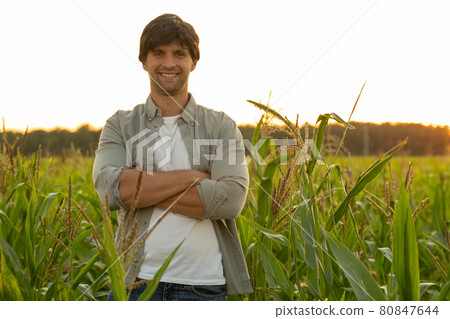Portrait of a farmer with his arms crossed, standing in a corn field, looking at the camera 80847644