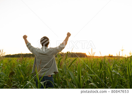 Farmer in a corn field raises his hands up, his head raised to the sky, enjoying his success Farmer in a corn field raises his hands up, his head raised to the sky, enjoying his success 80847653