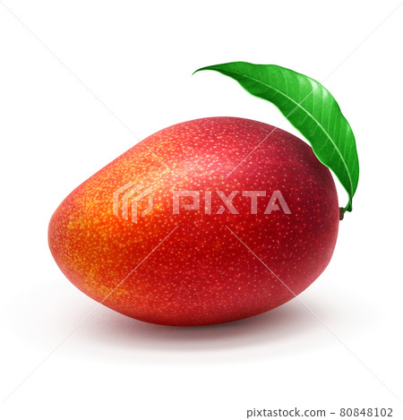 Mango Illustration Real Miyazaki 80848102