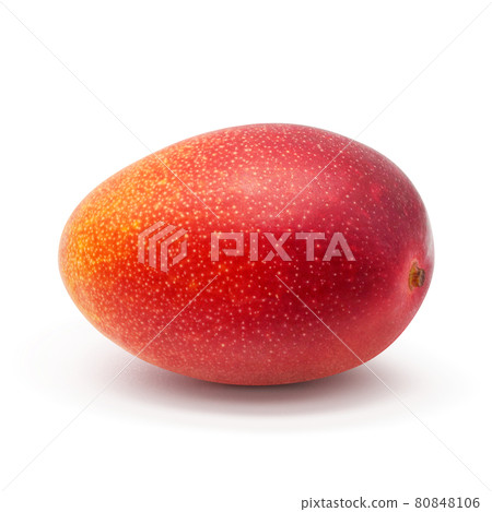 Mango Illustration Real Miyazaki 80848106