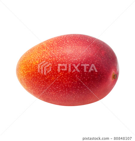 Mango Illustration Real Miyazaki 80848107
