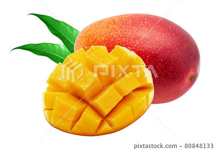 Mango illustration real set 80848133