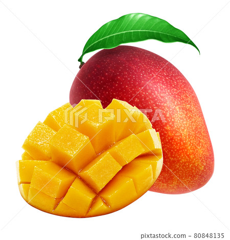 Mango illustration real set 80848135