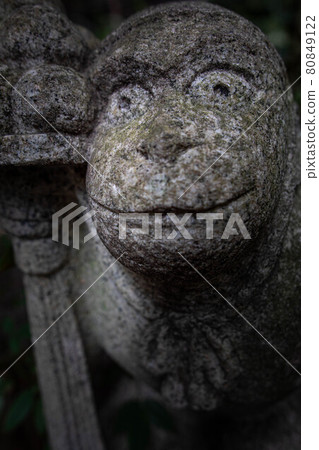 In the spring of Otoyo Shrine, the smile of the Koma monkey at the end of the precincts and Hiyoshi Shrine In the spring of Otoyo Shrine, the smile of the Koma monkey at the end of the precincts and Hiyoshi Shrine 80849122