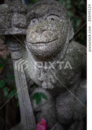 大豐神社的泉水、日吉神社的駒猴、山茶花、院內盡頭 80849124
