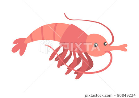Shrimp Character as Aquatic Mammal with Funny Face Vector Illustration 80849224