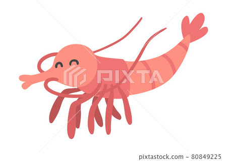 Shrimp Character as Aquatic Mammal with Funny Face Vector Illustration Shrimp Character as Aquatic Mammal with Funny Face Vector Illustration 80849225