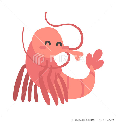 Shrimp Character as Aquatic Mammal with Funny Face Vector Illustration Shrimp Character as Aquatic Mammal with Funny Face Vector Illustration 80849226