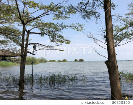 View of Lake Tanganyika in Burundi, Africa View of Lake Tanganyika in Burundi, Africa 80850300