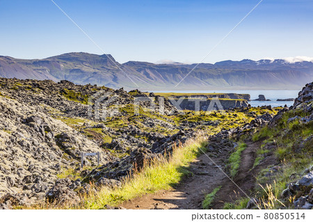 View on Snaefells peninsula from Arnarstapi in Iceland in summer View on Snaefells peninsula from Arnarstapi in Iceland in summer 80850514