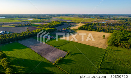 Beautiful natural Patterns of Farmfields in Countryside at Summer. Drone Aerial View, birds eye view 80850720
