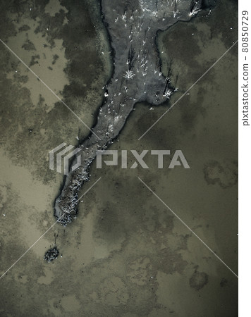 Flock of birds , Aerial View Flock of birds , Aerial View 80850729