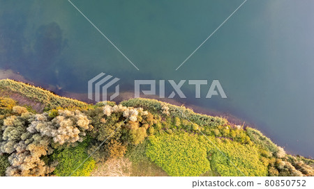 Aerial view of a picturesque place where transparent turquoise water of a forest lake meets a stony 80850752