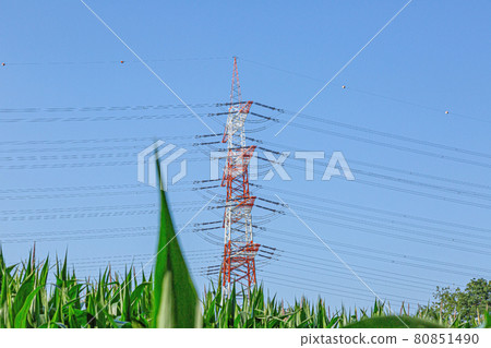 Image of large high voltage power line with warning colors with high power poles for power supply Image of large high voltage power line with warning colors with high power poles for power supply 80851490
