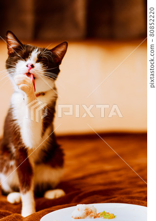 I'm full, it's a feast ~ 80852220