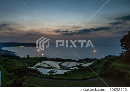 長門市東牛畑田田夜景 長門市東牛畑田田夜景 80852320