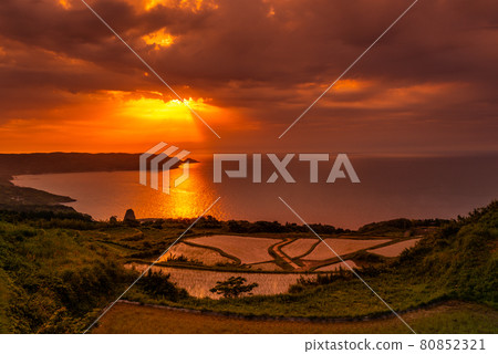 長門市東牛畑田田夜景 長門市東牛畑田田夜景 80852321