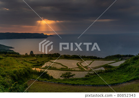 Evening view of Higashi Ushitobata Tanada, Nagato City Evening view of Higashi Ushitobata Tanada, Nagato City 80852343