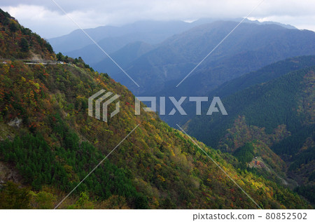 鶴木山表面秋葉上的陽光 80852502