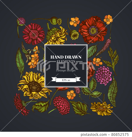 Square floral design on dark background with poppy flower, gerbera, sunflower, milkweed, dahlia Square floral design on dark background with poppy flower, gerbera, sunflower, milkweed, dahlia 80852575