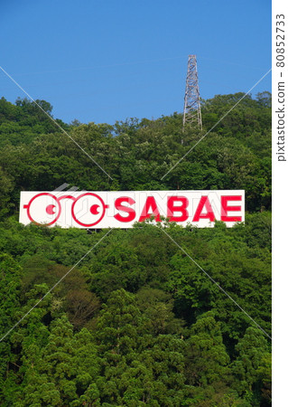 Glasses Advertising Tower Sabae City, Fukui Prefecture (Machisabae of Glasses) 80852733