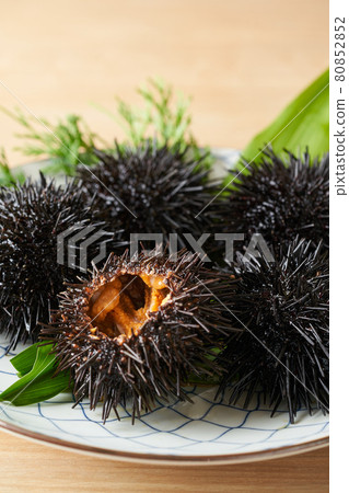 盤子上的紫色海膽 80852852